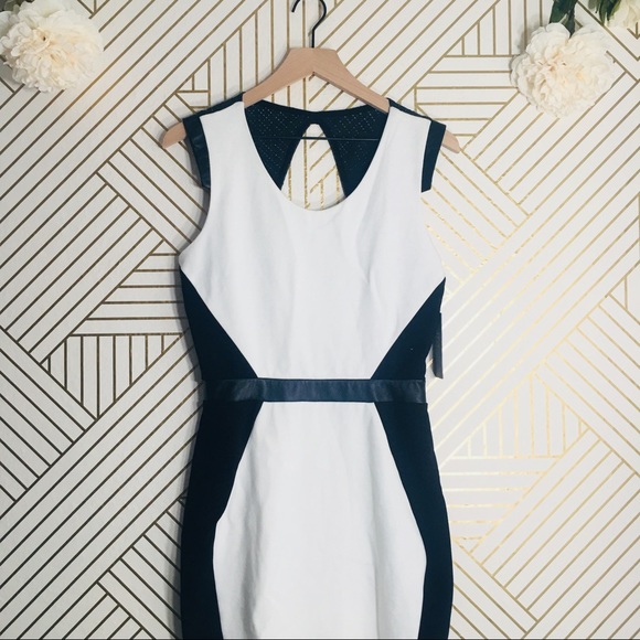 La Pina | NWT Color Block Dress w/ Leather Detail - Picture 1 of 7